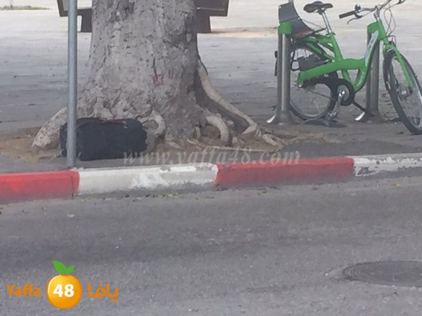 Jesm mashboohfj (9).JPG